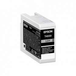 Epson T46S9 Gris Light...